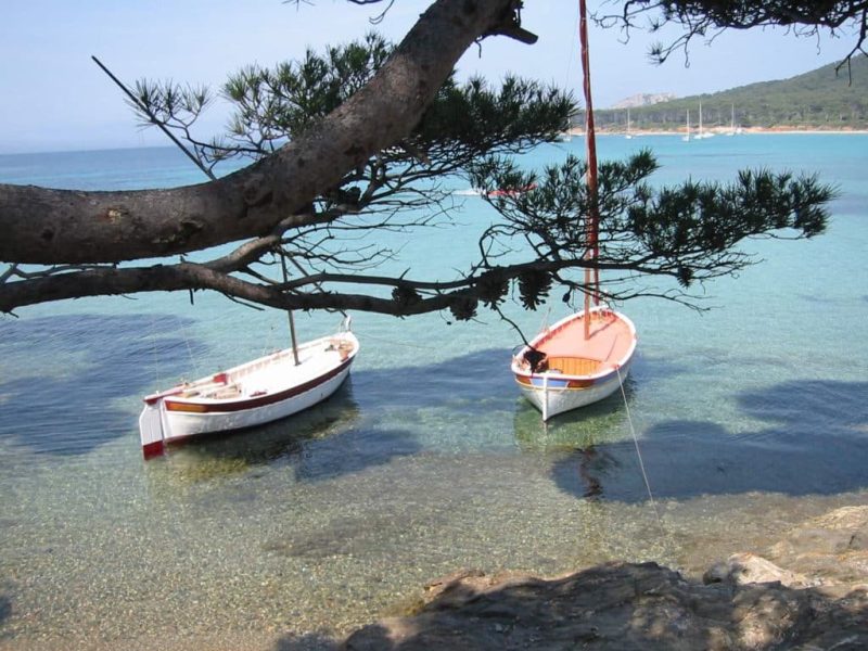 Porquerolles à Vélo | Location De Vélos Sur L'île De Porquerolles